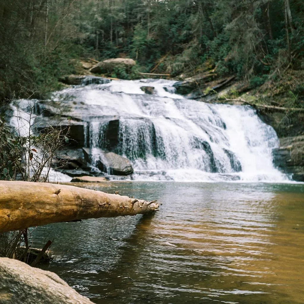 A small waterfall cascading over rocks into a calm river, surrounded by lush green trees in a forest.